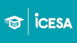 ICESA online application, courses, fees, faculties, requirements, and contact details