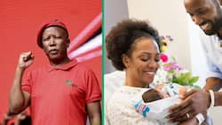 Julius Malema encourages South Africans to make more babies, SA dismayed