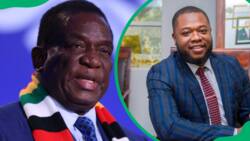 All about Kudakwashe Mnangagwa: Zimbabwe president appoints son