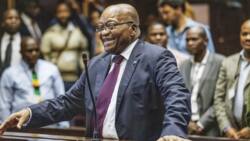 Jacob Zuma: South Africans comment on decision to ditch Inquiry