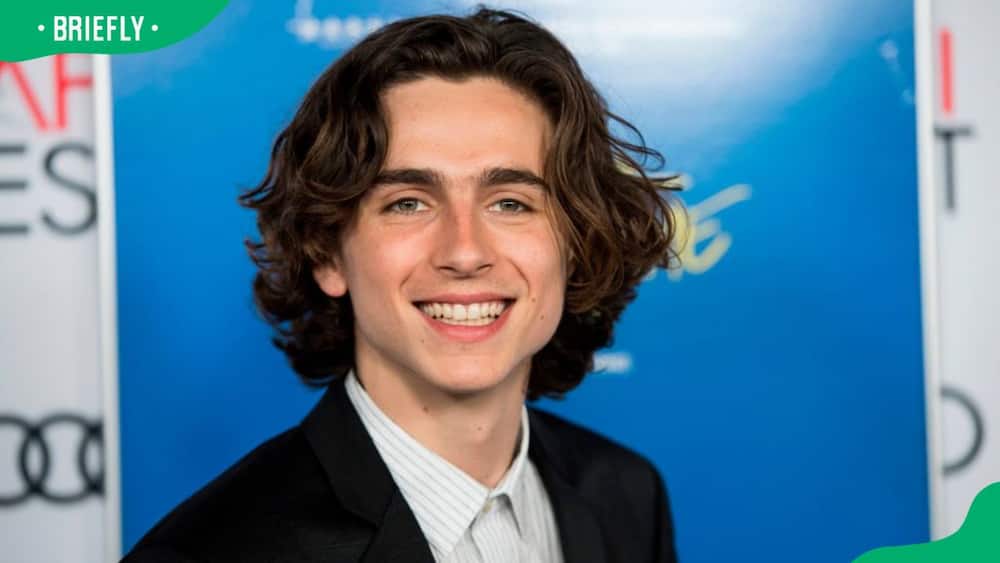 Why is Timothée Chalamet so famous?