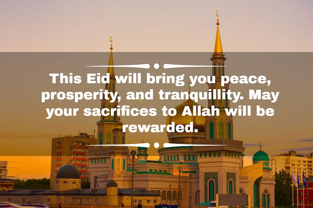 eid ul adha mubarak messages