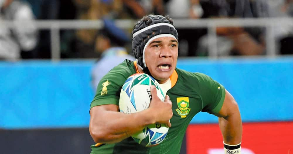 Cheslin Kolbe, Springboks, rugby, British & Irish Lions