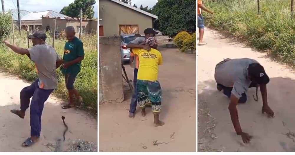 Twitter user @pmcafrica shared video of the man freaking out at the snake prank