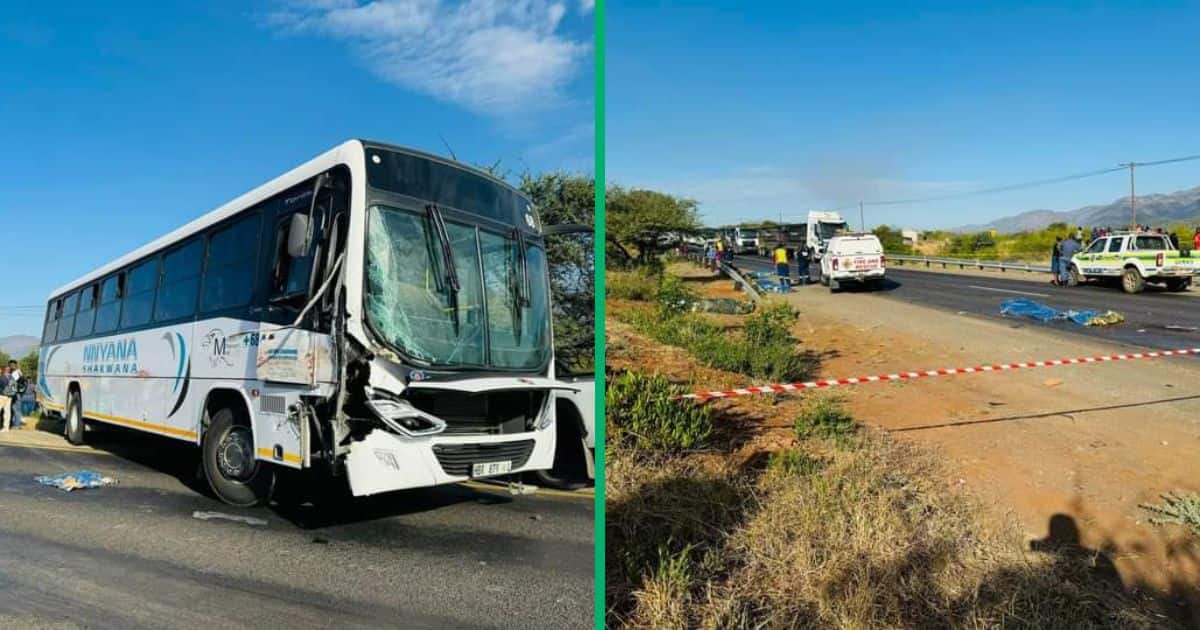 Another Limpopo accident has Mzansi worried about the province