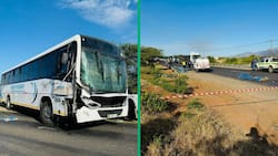 8 Die in Limpopo crash between truck and bus, South Africans devastated