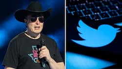 Billionaire Elon Musk wants to buy Twitter for R600 billion, gains mixed reactions from social media users