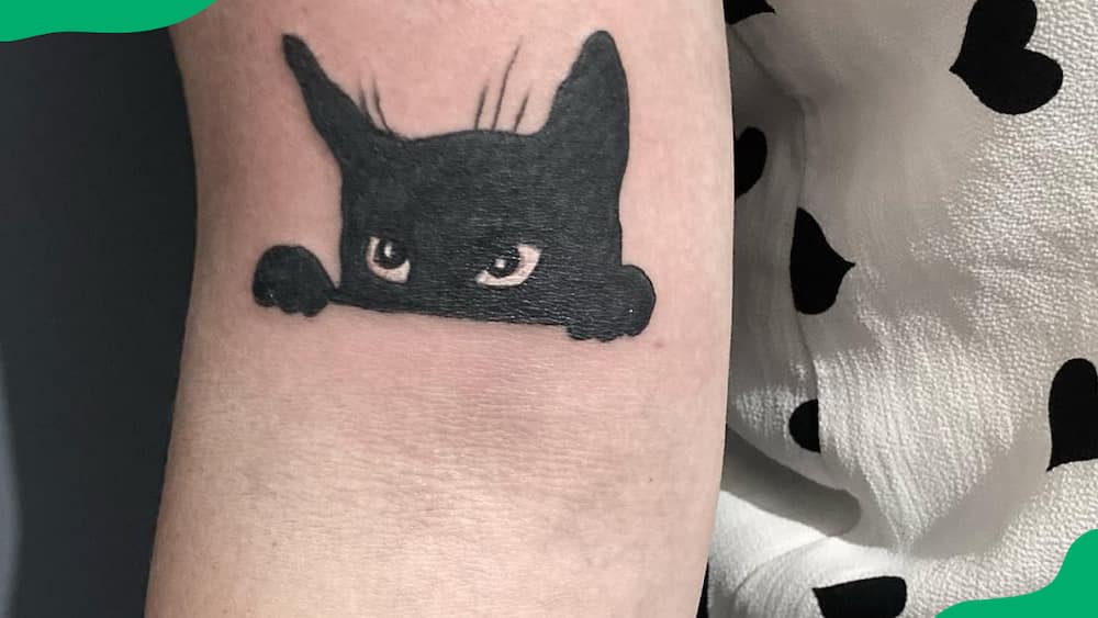 The peeking cat tattoo