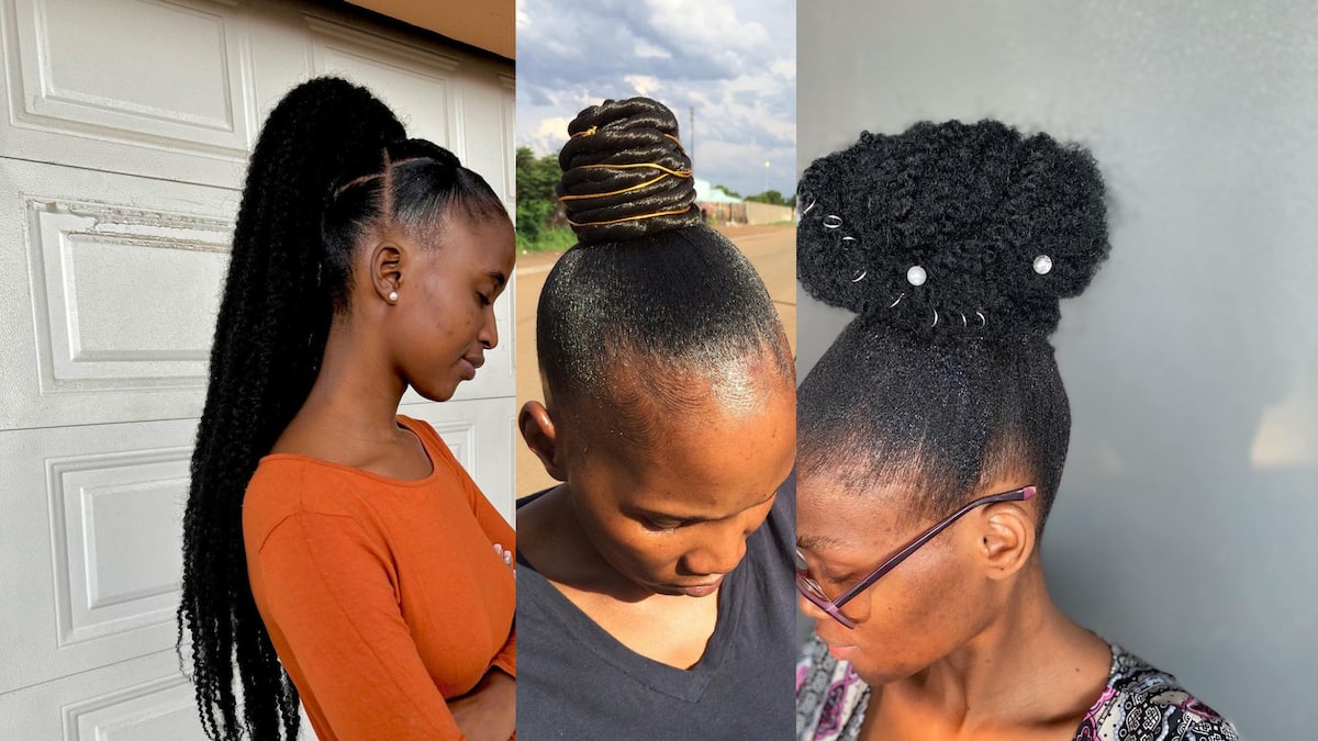 Discover the 20 hottest Pondo hairstyles in South Africa: stay on trend  with these hairdos - Briefly.co.za