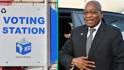 Jacob Zuma seeks recusal of constitutional court justices in candidacy battle