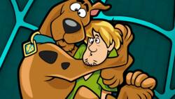 What kind of dog is Scooby Doo? Little known facts about your fav childhood dog