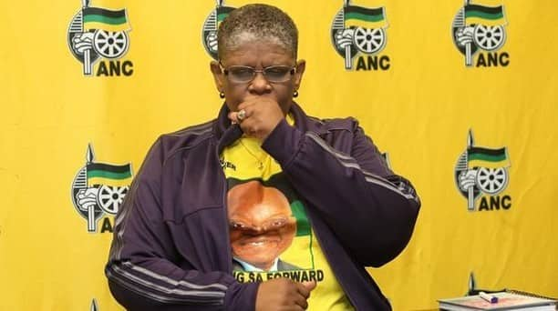 Zandile Gumede Biography Age Son Husband Family Arrest Qualifications House And Career