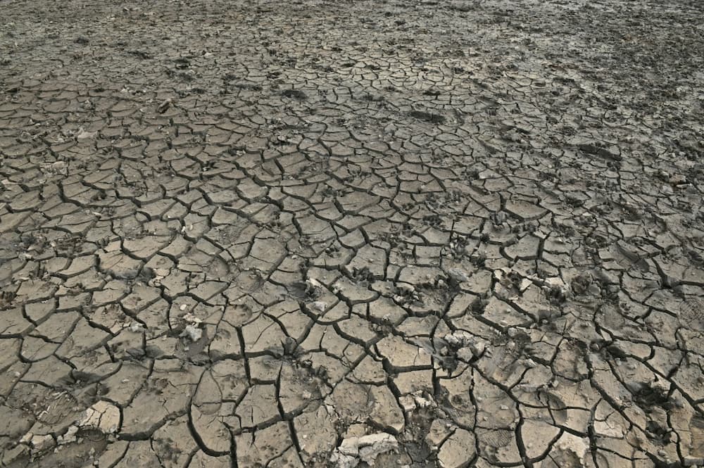 European Commission researchers say nearly half of the EU's land is under threat from drought