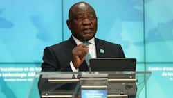 Government backpeddles on calls for Russia to withdraw from Ukraine, Ramaphosa will not get involved