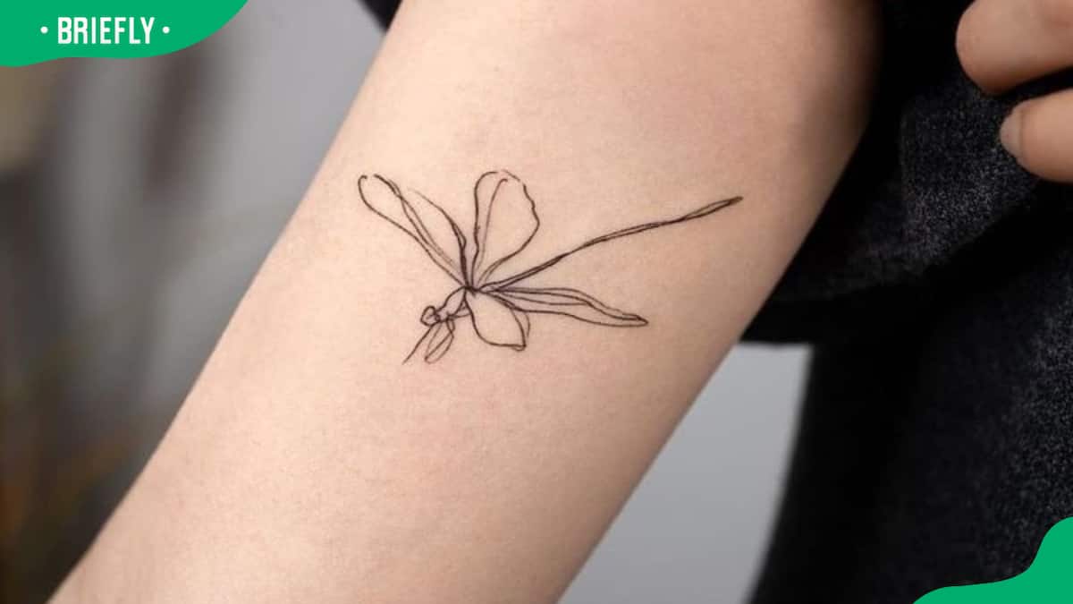 Dragonfly Tattoos for Men - Ideas and Inspiration for Guys | Small  dragonfly tattoo, Dragonfly tattoo design, Dragonfly tattoo