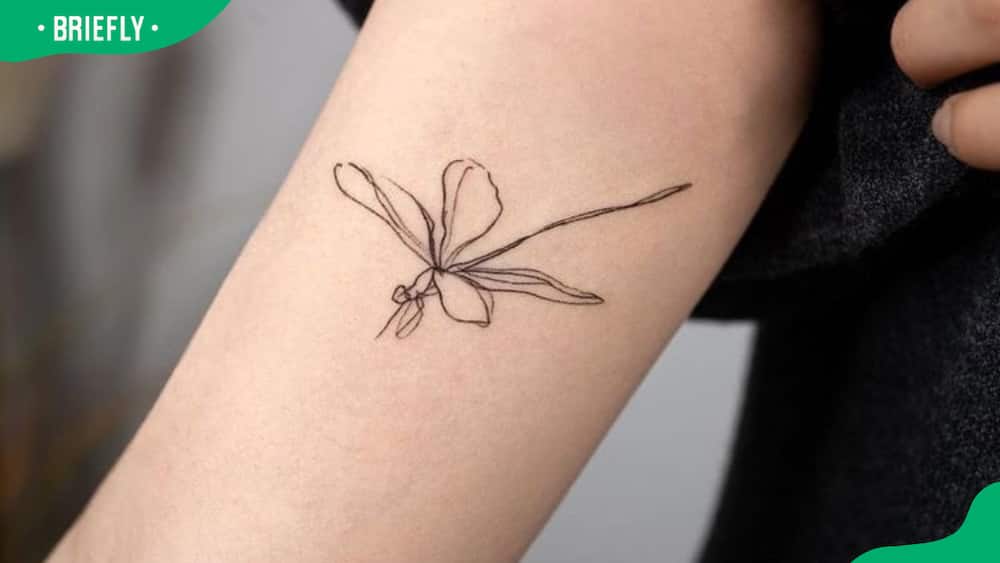 Simple dragonfly tattoo