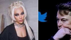 Doja Cat swears at Elon Musk and begs him to change her 'Christmas' Twitter name