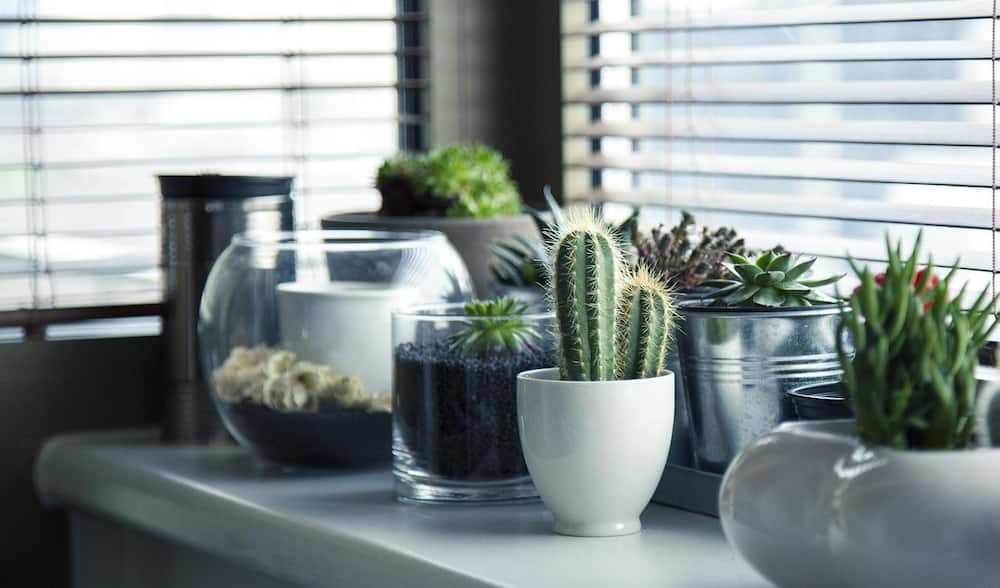 easy things to sell for a small business easy things to sell for a small business