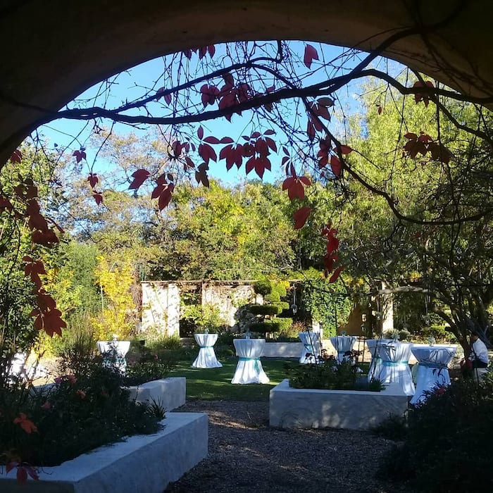 Amazing Forest Wedding Venues Cape Town in the year 2023 Learn more here 
