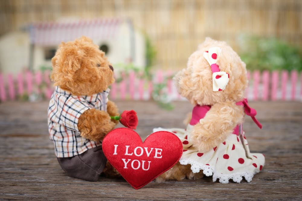 funny love quotes funny love quotes