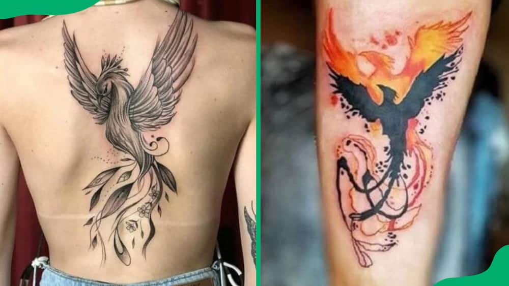 Unique phoenix tattoos