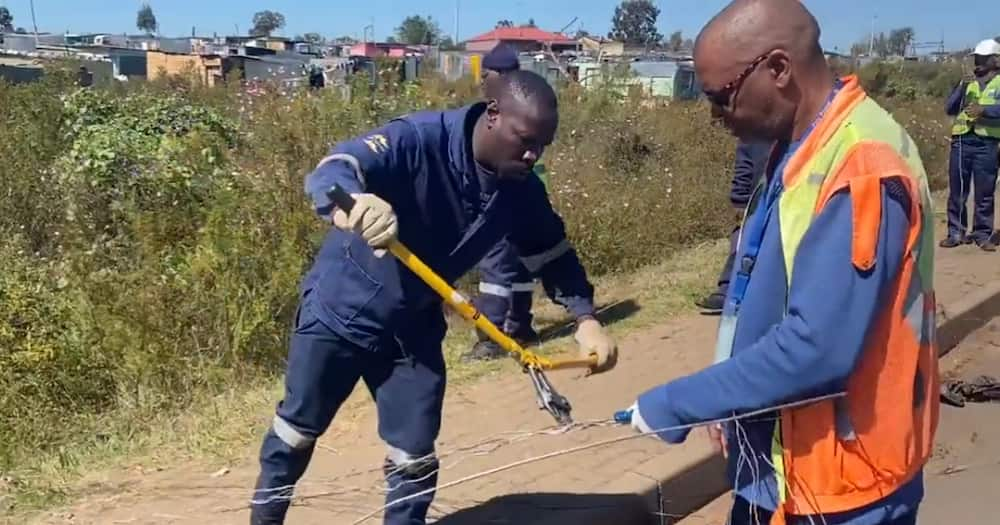 Eskom, City Power, shut down illegal connections, Kliptown, Chicken farm