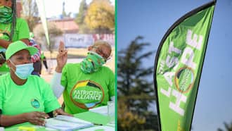Patriotic Alliance wins 2 by-elections in Western Cape