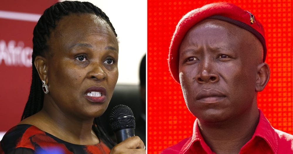 Julius Malema and EFF plan to back Busisiwe Mkhwebane during her impeachment