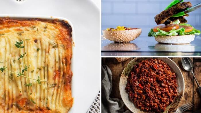 12 Fast And Tasty Chicken Mince Recipes Step By Step Video