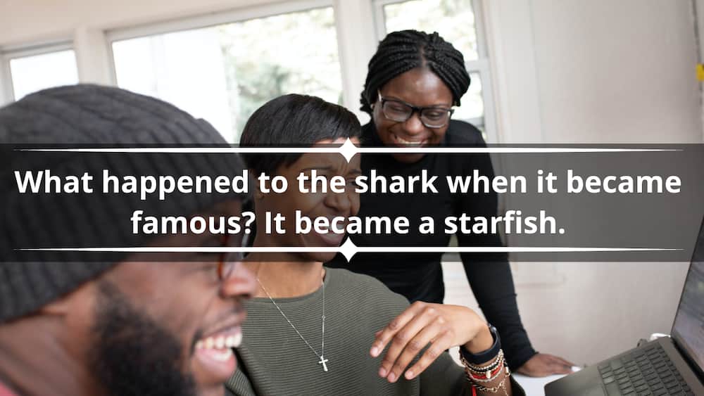 funny shark jokes and puns