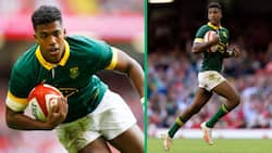 Springbok player Canan Moodie’s lockdown training video galvanises South Africans: "Hats off to him"