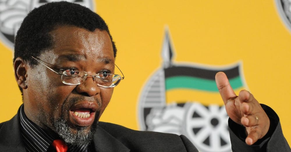 Minister, Gwede Mantashe, birthday, tiger, energy, ANC, family