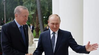 Turkey to pay for some Russian gas in rubles: Erdogan