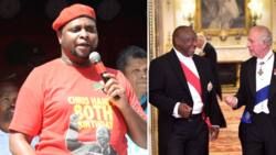 Floyd Shivambu berates Ramaphosa for abiding by British royal family’s dress code, says the EFF would never
