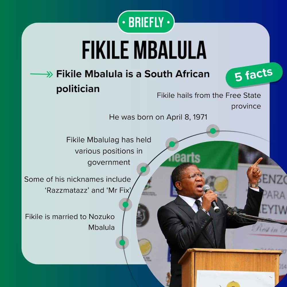 When and where was Fikile Mbalula born?