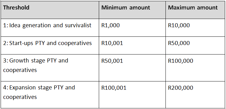 nyda business plan requirements