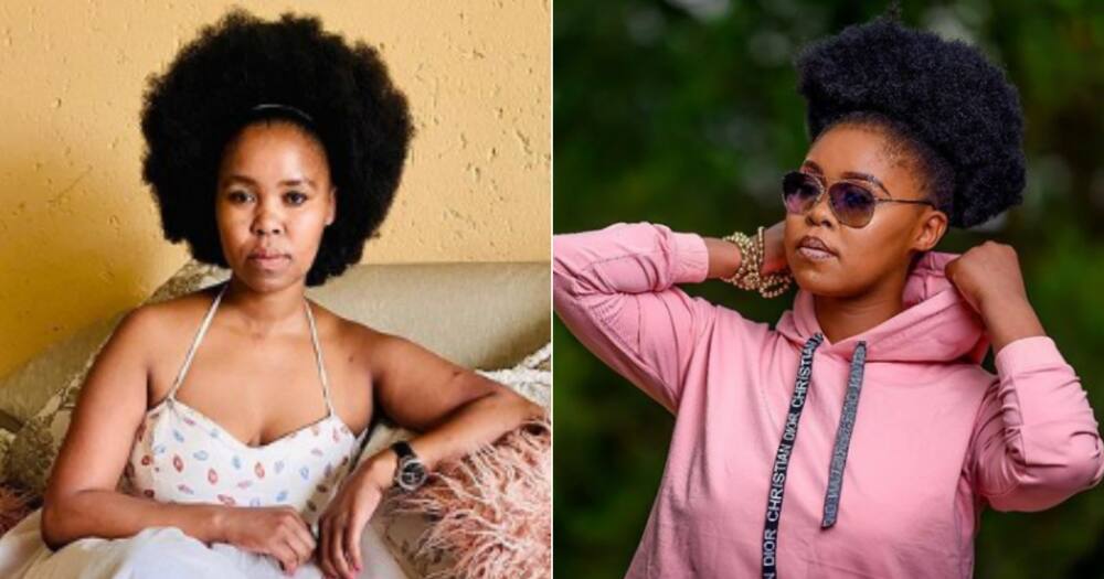 Zahara, Tax, Lagging, Jail, Court, Warrant, Arrest