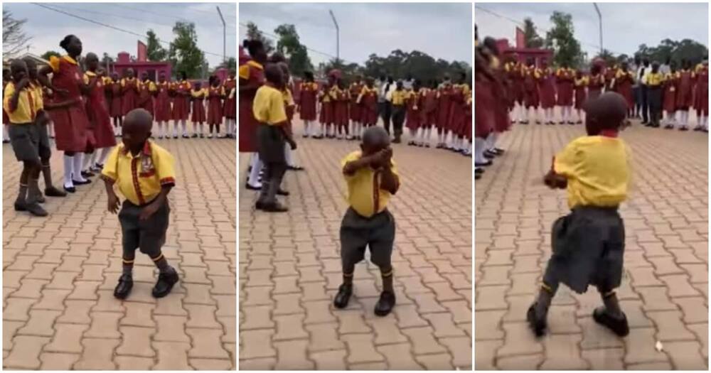 Video, little boy dancing, winding waist, viral, school