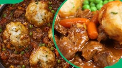 Easy creamy beef stew and dumplings recipe to try at home