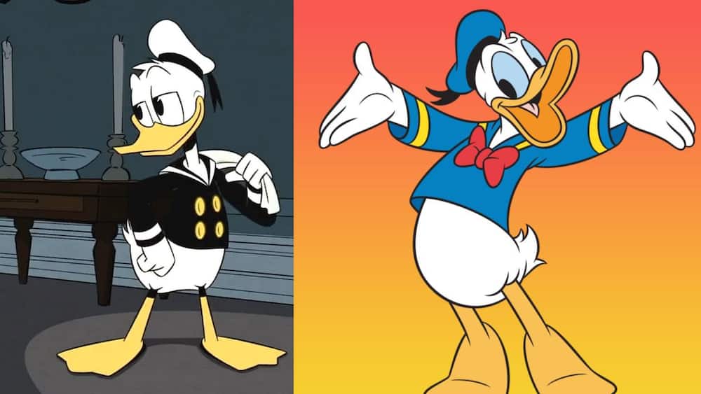 Donald Duck from the Disney universe