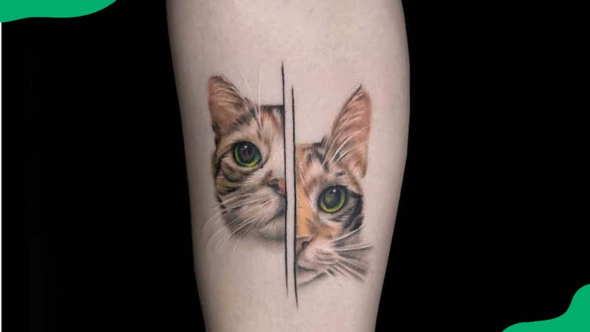Cat tattooist Jessica Holmes capitalises on a growing market for moggies in  ink - ABC News