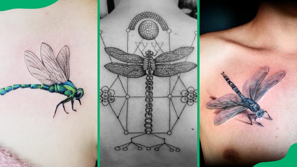 Green dragonfly (L), geometric precision flier dragon tattoo (C), 3D dragonfly tattoo (R)