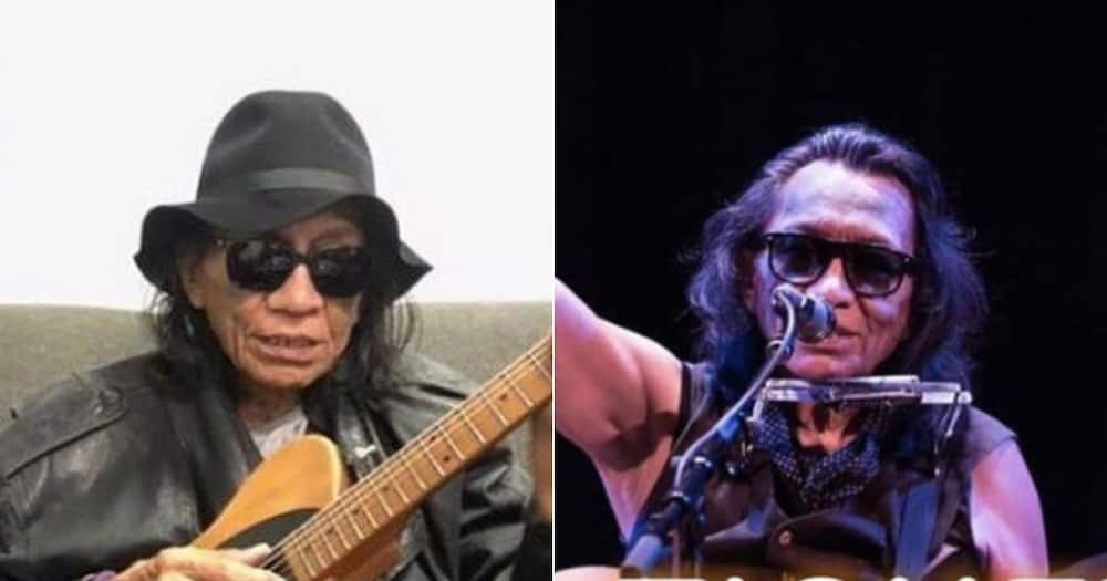 Sixto, Sugar Man, Rodriquez, muscian, legend, icon, Sixto Rodriguez, singer, international artist, 80th birthday, Sugar Man royalties