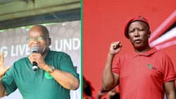 Former president Jacob Zuma wished Economic Freedom Fighters's Julius Malema a happy 43rd birthday