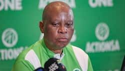 Herman Mashaba reportedly paid political analyst R12.5m to write his “unauthorised biography”, SA shocked