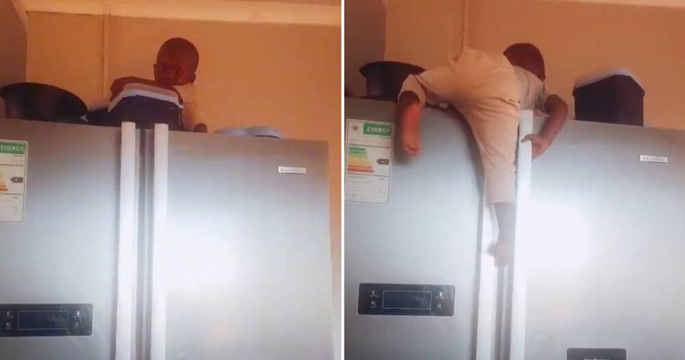 Toddler playing on top of fridge goes viral. South Africans were impressed with their climbing skills.