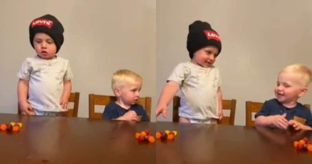Adorable, babies, can't resist, temptation for sweets, internet loves them