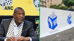 Deputy president Paul Mashatile denies Jacob Zuma's claims that 2024 elections will be rigged