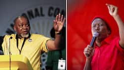EFF wants to privately prosecute Gwede Mantashe for security upgrades to 3 properties bankrolled by Bosasa