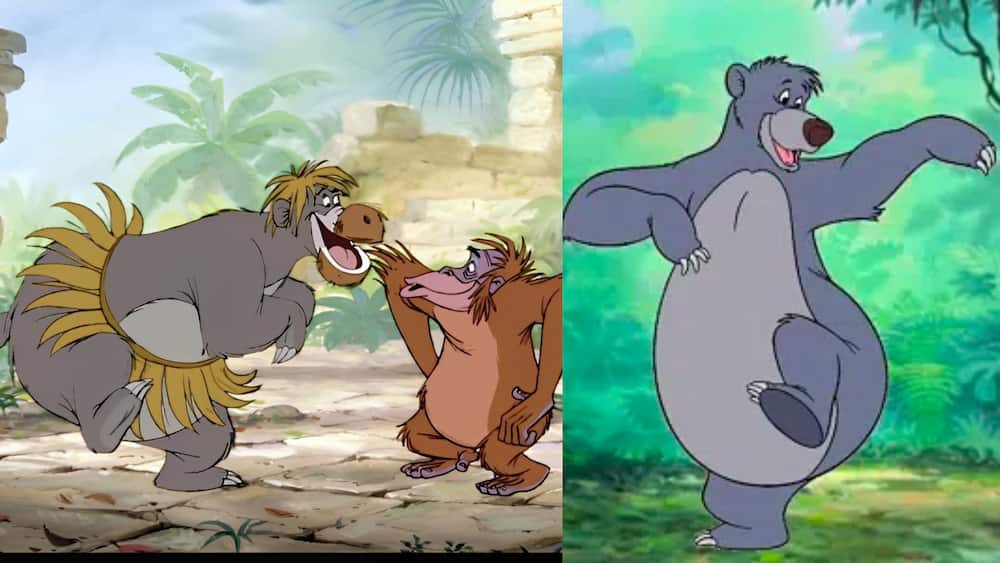 Baloo from Disney's The Jungle Book